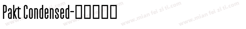Pakt Condensed字体转换